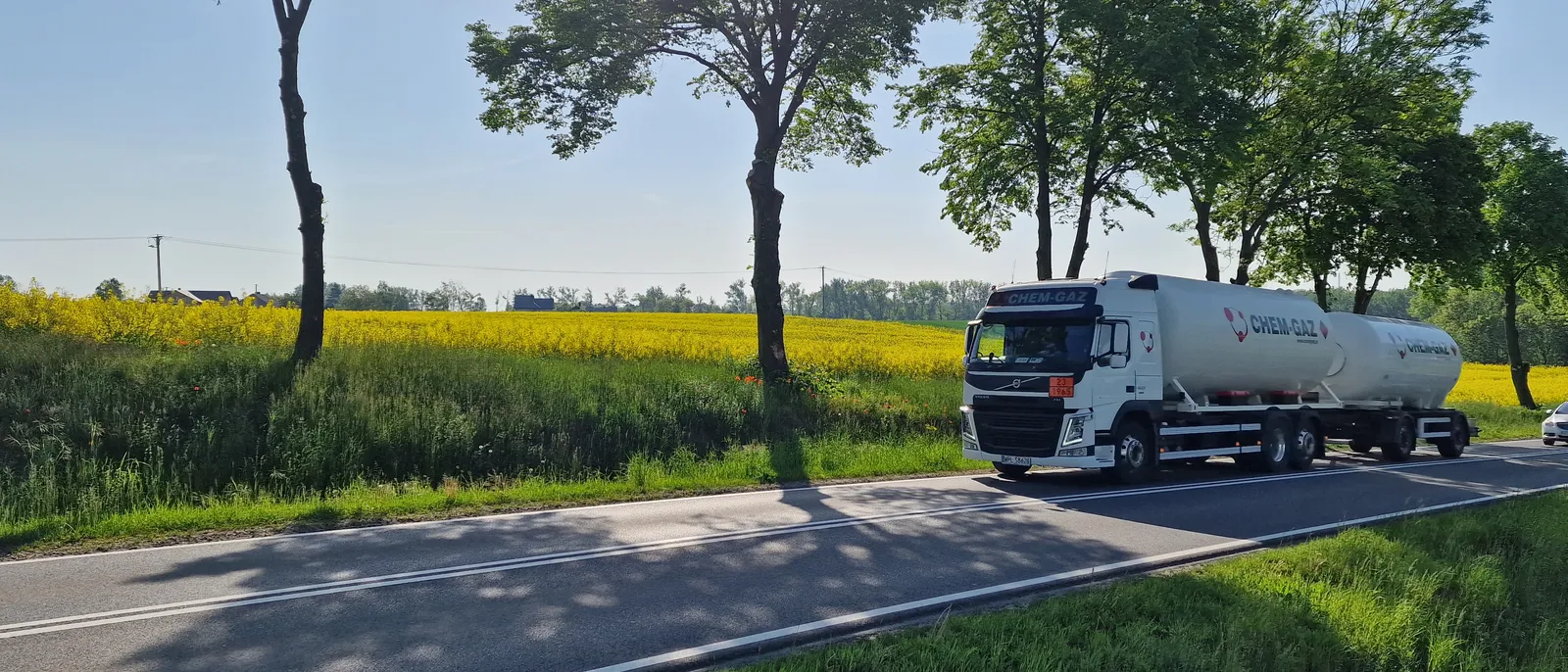 Cysterna CHEM-GAZ w trasie obok pola rzepaku